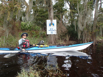 Whitney Sanford points to marker on Bartram Trail