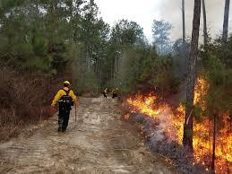 veteran fire corp