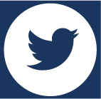 DES Twitter feed button