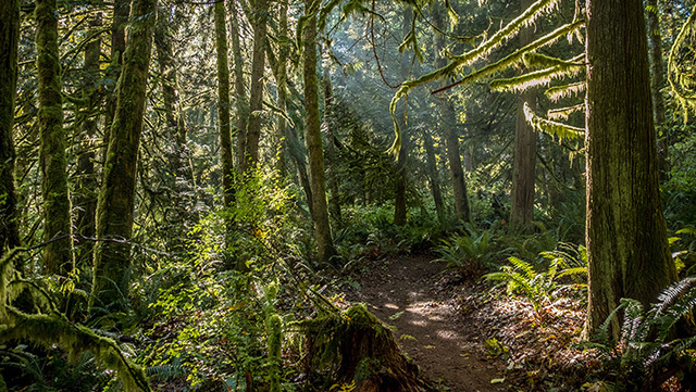King County Park